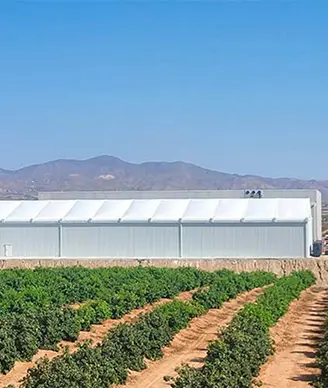 nave industrial metalica